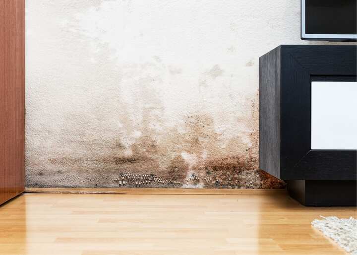 water damage restoration Janesville