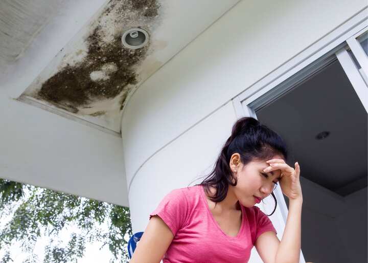 water damage repair Janesville Wisconsin