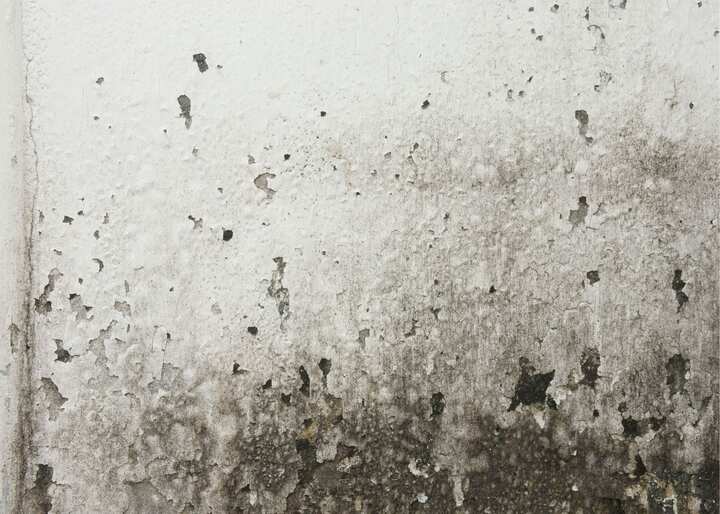 water damage restoration Janesville WI