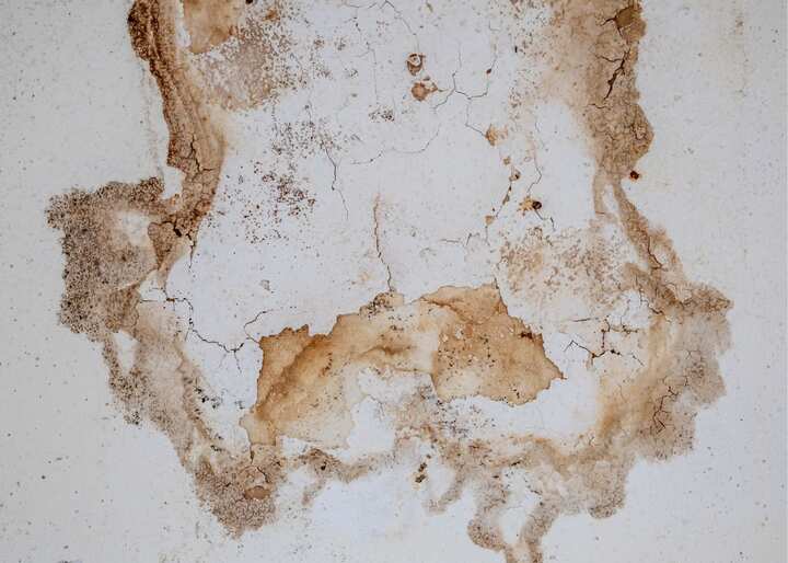 water damage repair Janesville